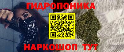 прущие крисы Жуковский
