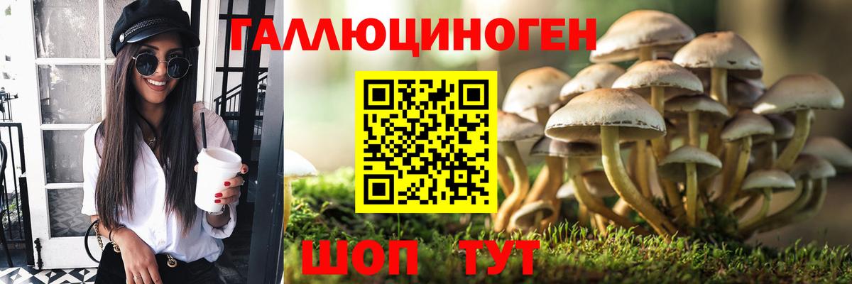 Сургут  Псилоцибиновые грибы ЛСД  Вход с VPN 